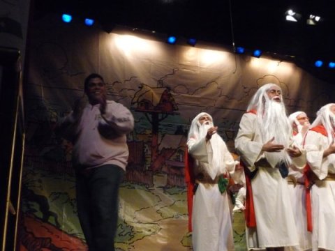 Carnaval de Marbella 2010 Foto 43