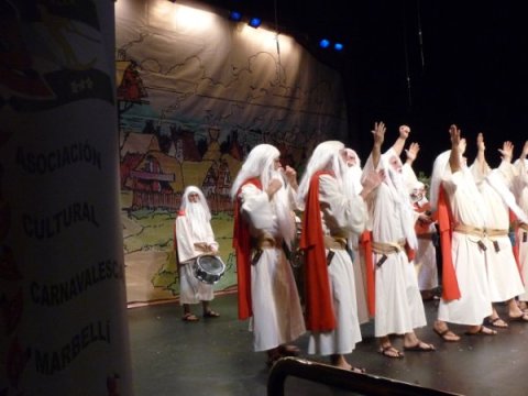 Carnaval de Marbella 2010 Foto 44