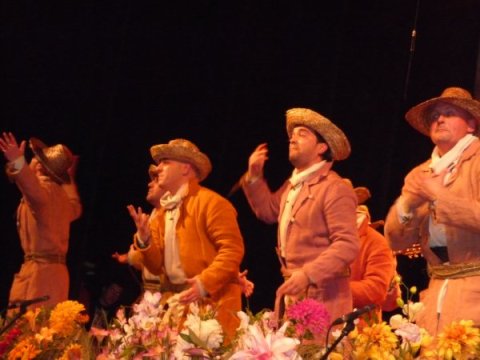 Carnaval de Marbella 2010 Foto 46